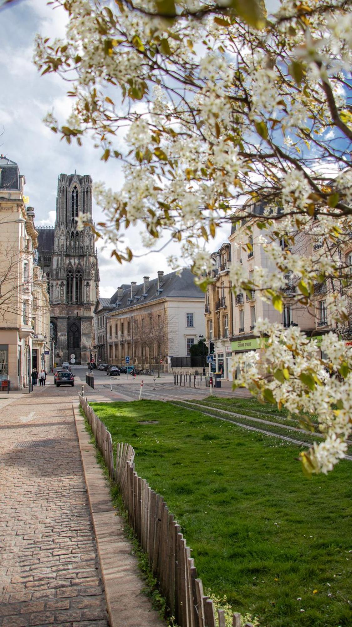 Rare! Magnifique Appartement - Vue Cathedrale แร็งส์ ภายนอก รูปภาพ
